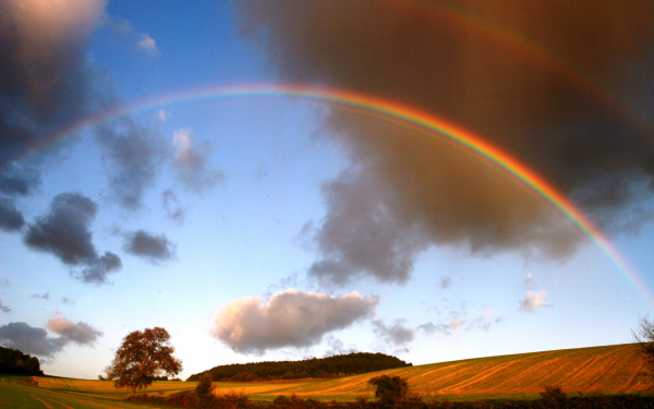 Радуга над полем