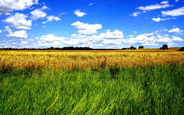 Облака над полями