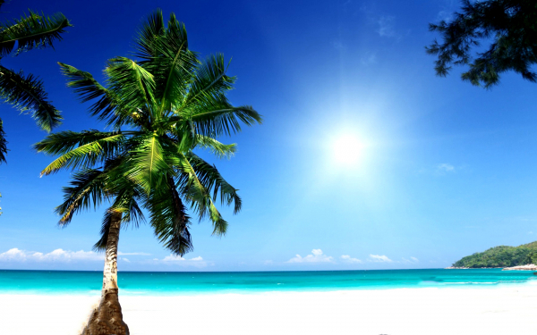 Солнечный берег