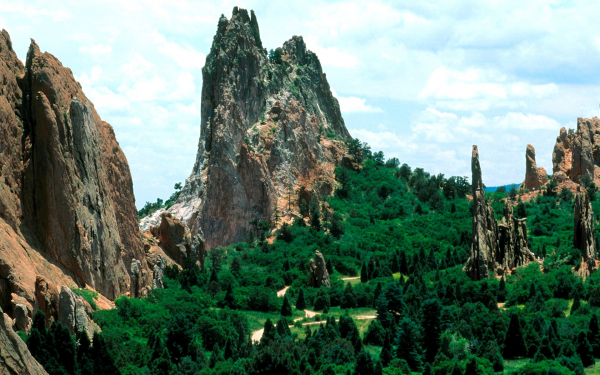 Лес среди скал