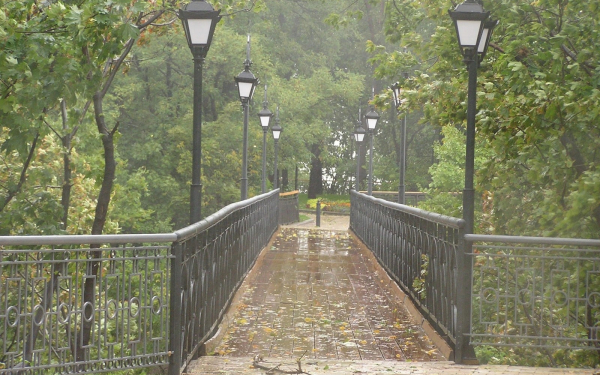 В парках Киева