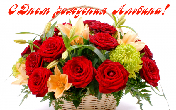 С днем рождения Альбина