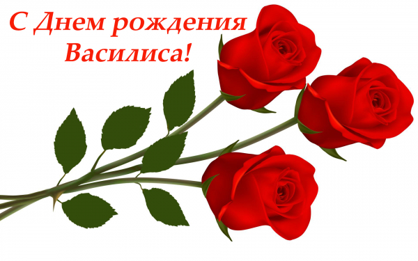 С днем рождения Василиса