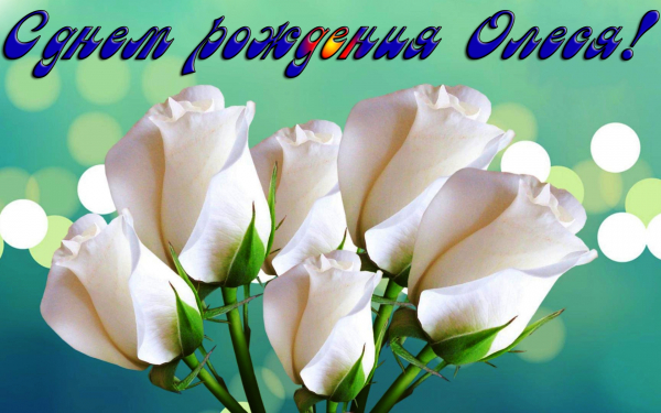 С днем рождения Олеся