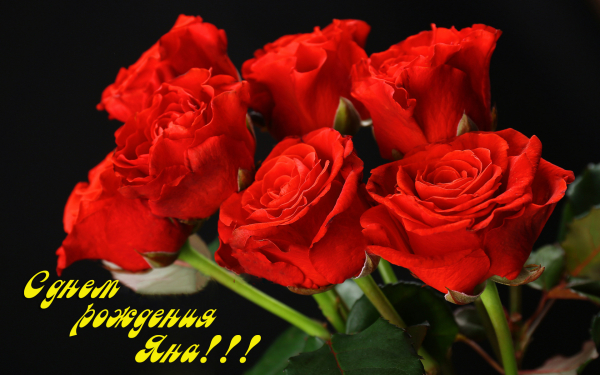 С днем рождения Яна