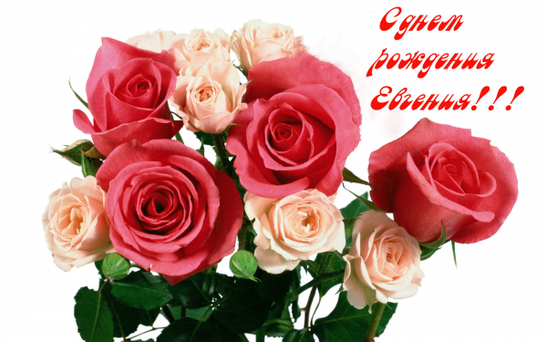 С днем рождения Евгения