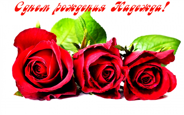 С днем рождения Надежда