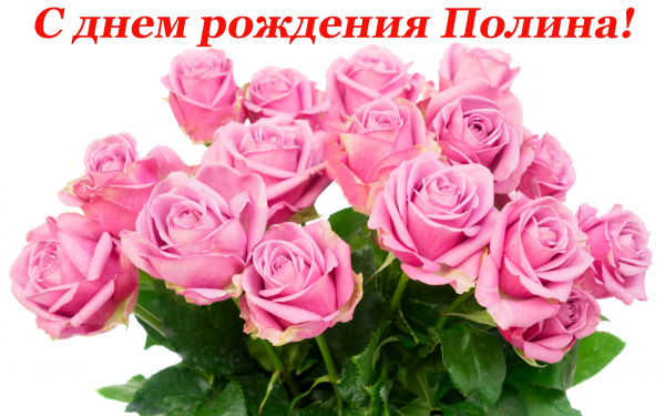 С днем рождения Полина