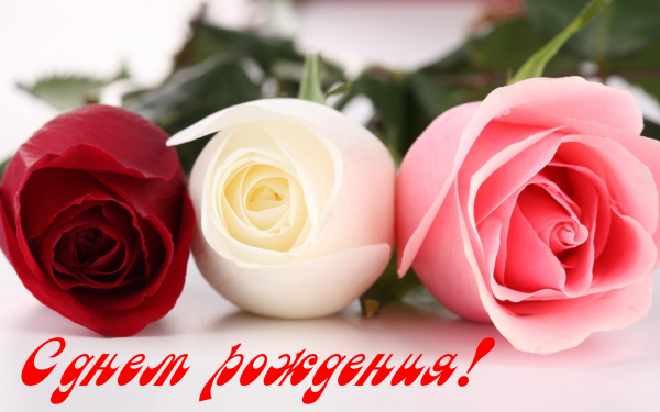 Розы с днем рождения