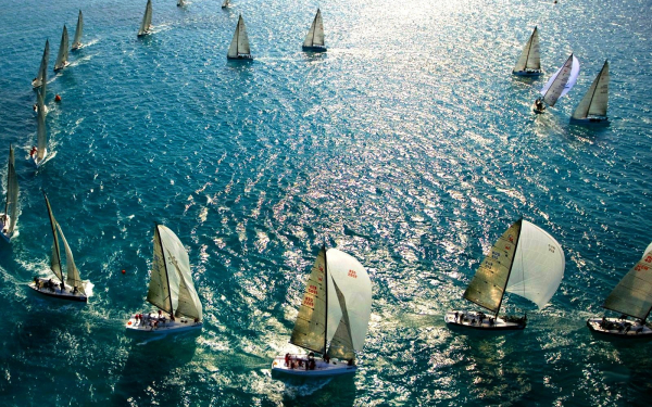 Парусная регата