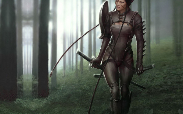 Девушка  воин