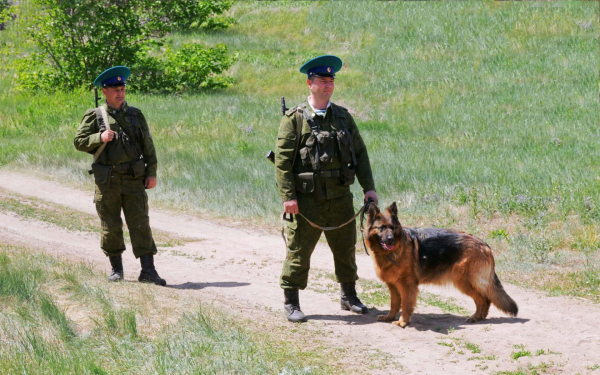Пограничный наряд с собакой