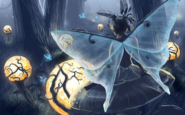 Фея в сказочном лесу