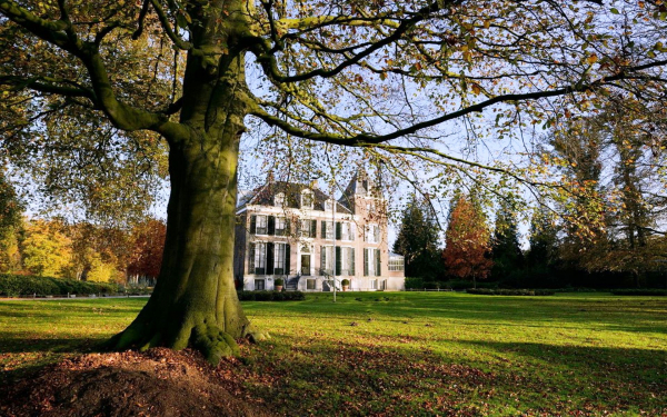 Дом в парке