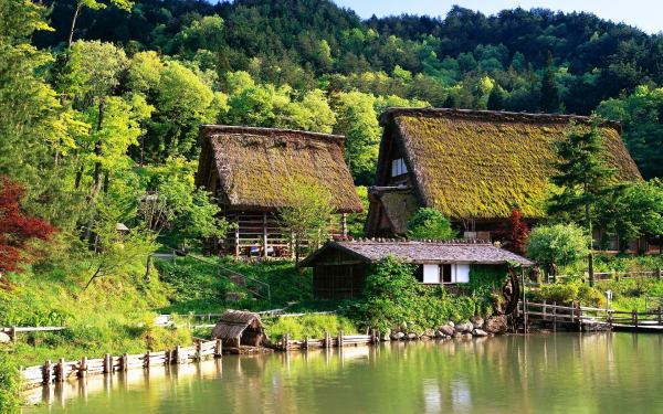 Домики в лесу на берегу