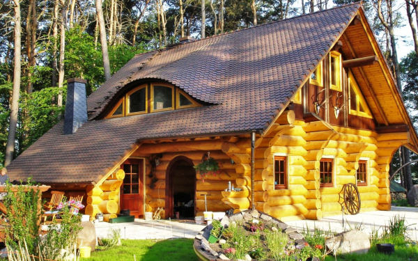 Деревянный дом в лесу