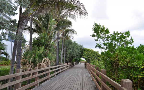 В парке Майами