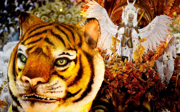 В Рио - де - Жанейро карнавал