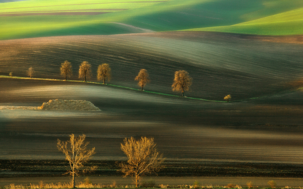 Осеннее поле