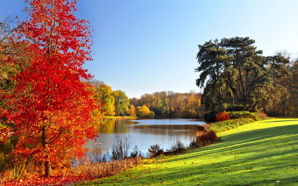 Солнечный осенний день у реки