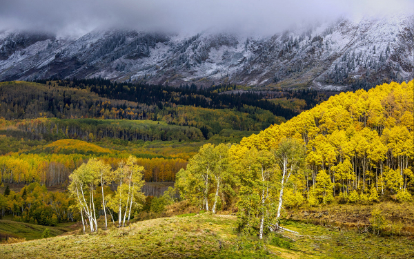 Осенний пейзаж картинка