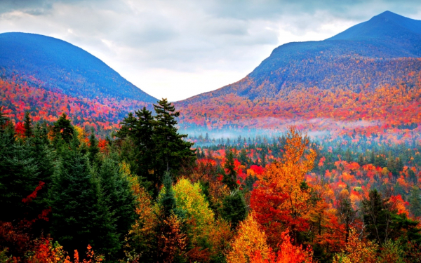 Осень в лесах и на горах
