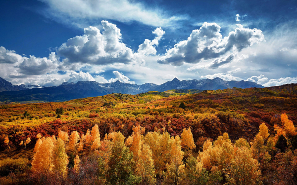 Лес горы облака осень