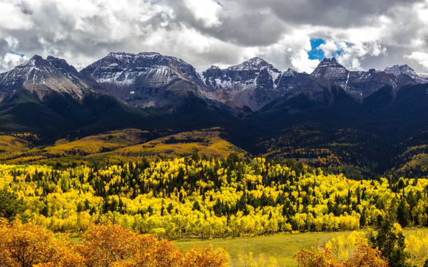 Осенний лес в горах