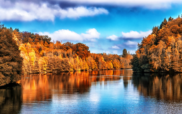 Река лес облака осень