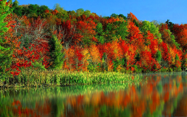 Берег озера в осенних красках