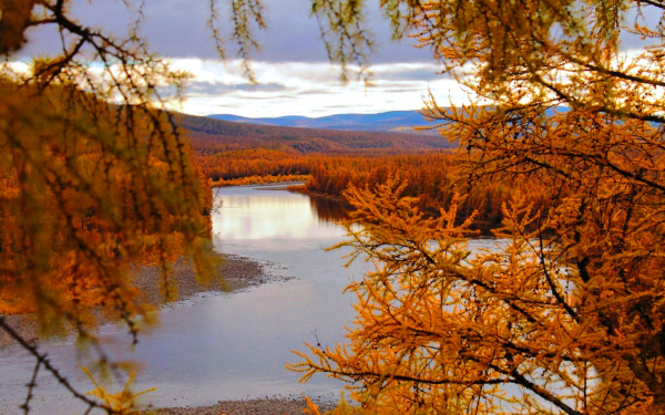 Осень в южной Якутии