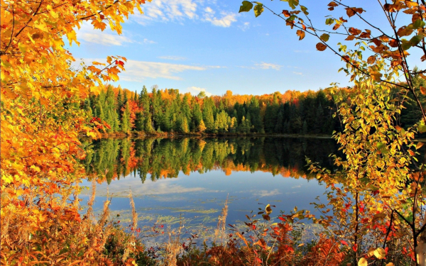 Осень у лесного озера