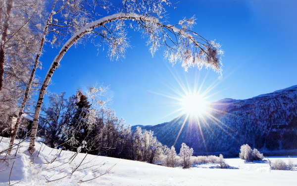 Зимний рассвет