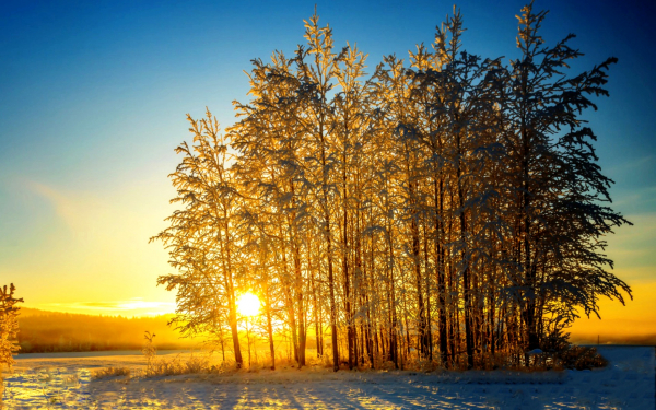 Морозное утро