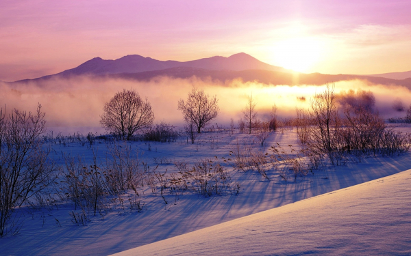 Морозный зимний рассвет