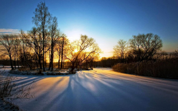 Зимнее утро