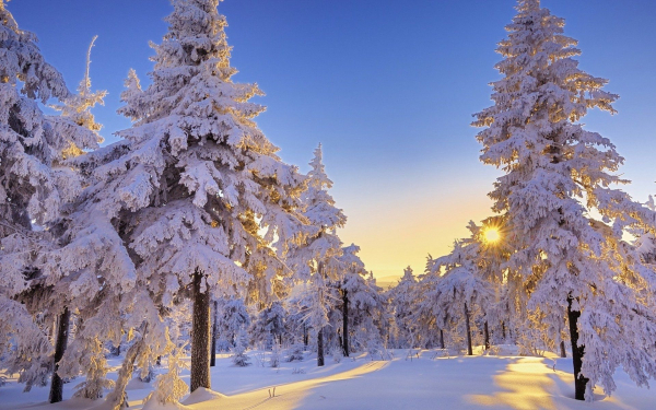 Зимний рассвет