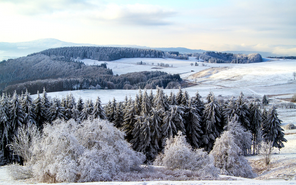 Лес поля холмы зима