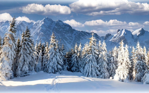 Зимний горный пейзаж