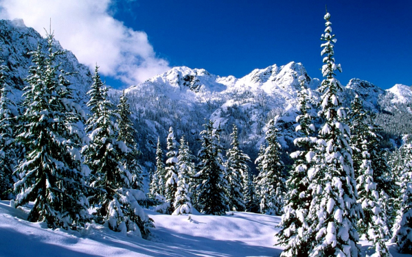 Зимний день в горах