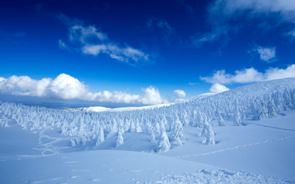 Снежная зима