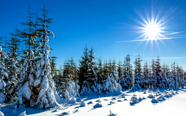 Солнечный зимний день