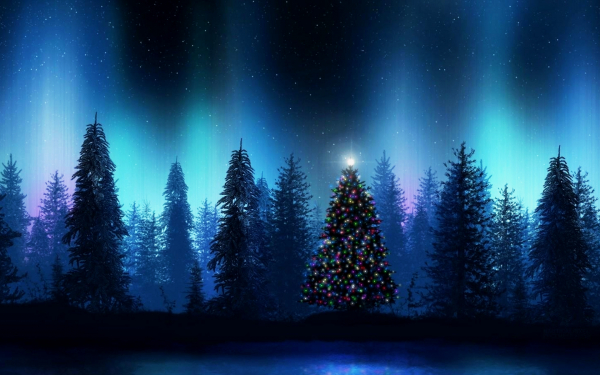 Зимняя ночь в лесу