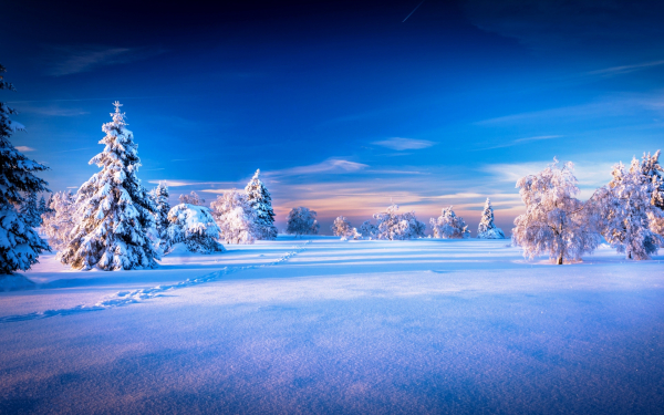 Зима снег мороз