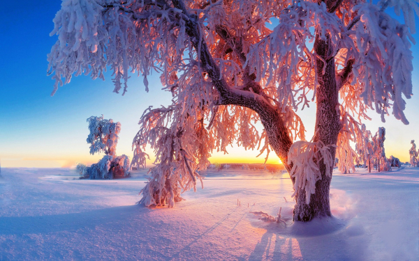 Морозный зимний вечер