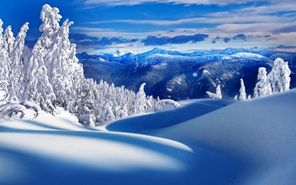 Сугробы лес горы зима