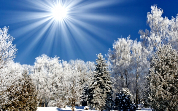 Мороз и солнце