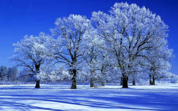 Зимняя картинка