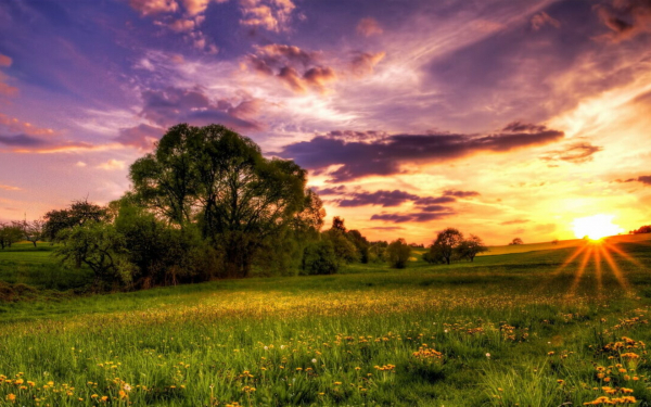 Вечер на летних лугах