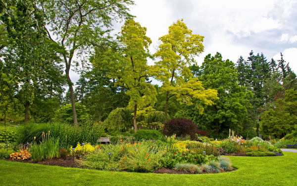 Лето в парке